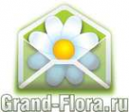Логотип компании Доставка цветов Гранд Флора (ф-л г.Курганинск)